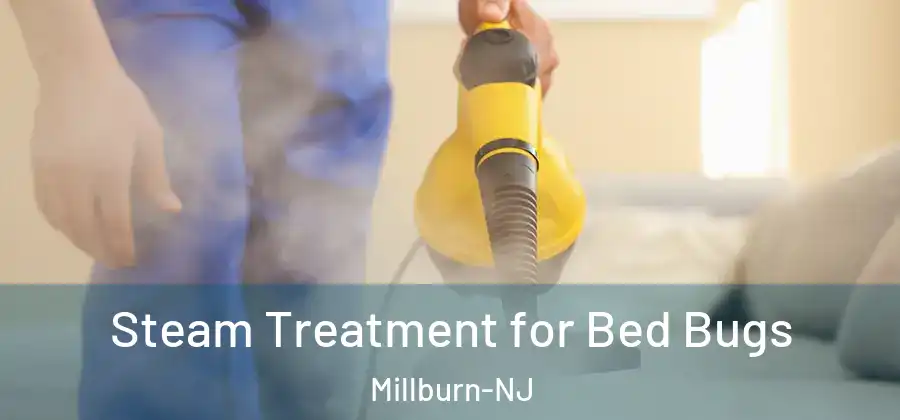  Steam Treatment for Bed Bugs Millburn-NJ