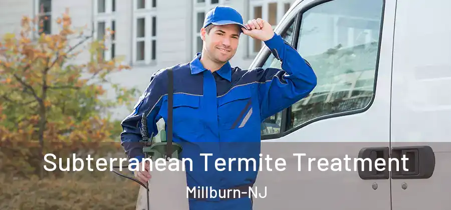 Subterranean Termite Treatment Millburn-NJ
