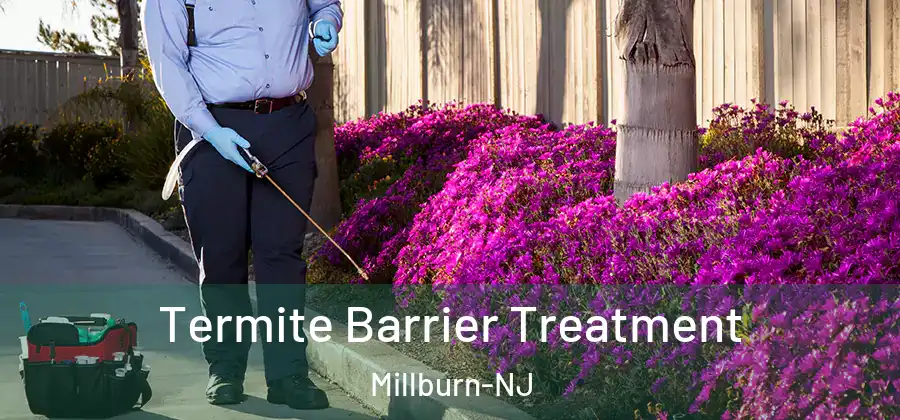 Termite Barrier Treatment Millburn-NJ
