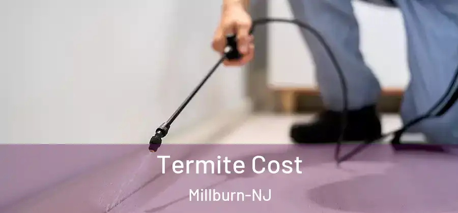Termite Cost Millburn-NJ