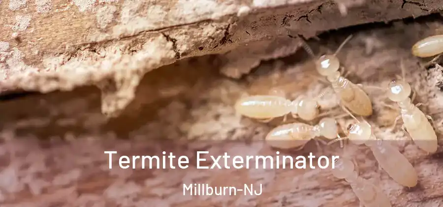 Termite Exterminator Millburn-NJ