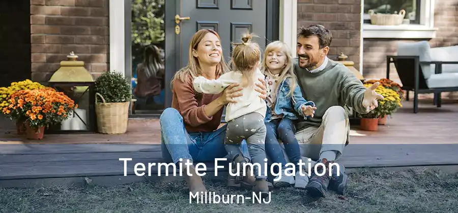  Termite Fumigation Millburn-NJ