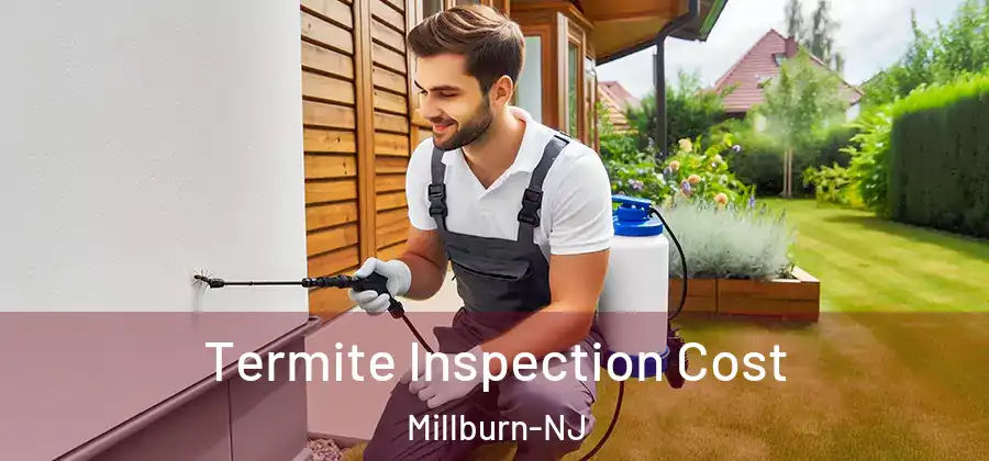 Termite Inspection Cost Millburn-NJ