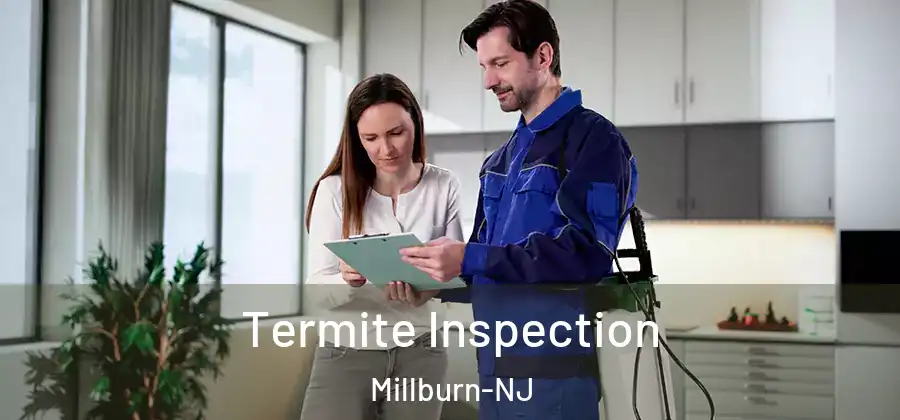  Termite Inspection Millburn-NJ