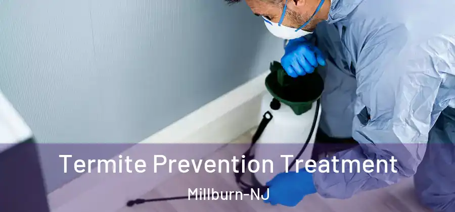  Termite Prevention Treatment Millburn-NJ