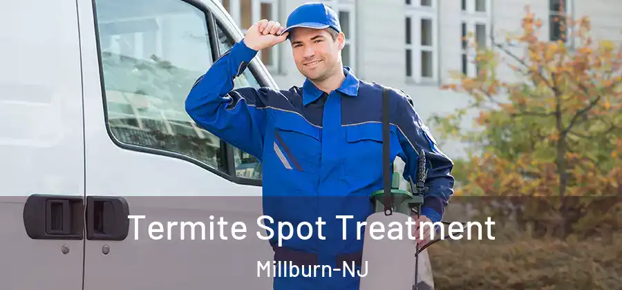  Termite Spot Treatment Millburn-NJ