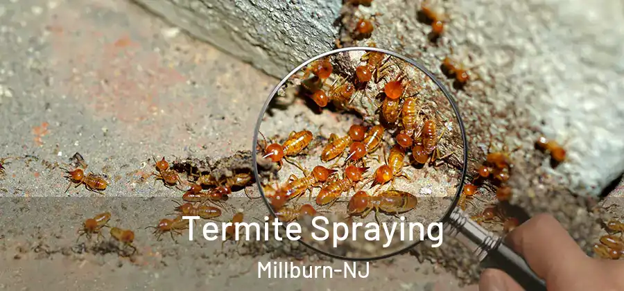 Termite Spraying Millburn-NJ