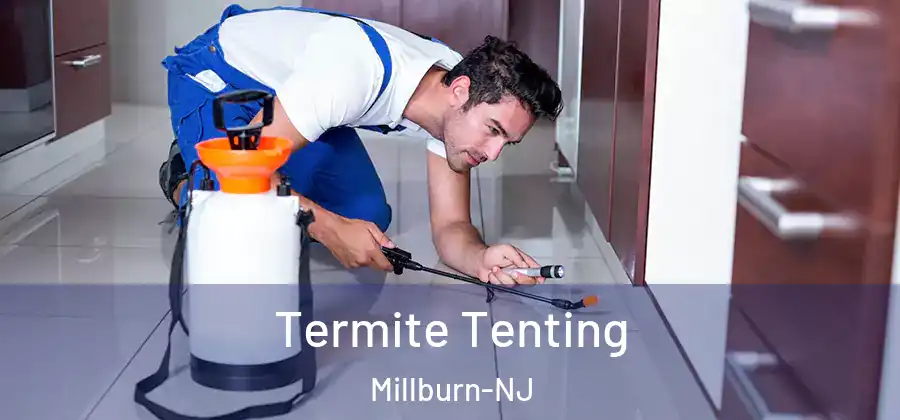 Termite Tenting Millburn-NJ