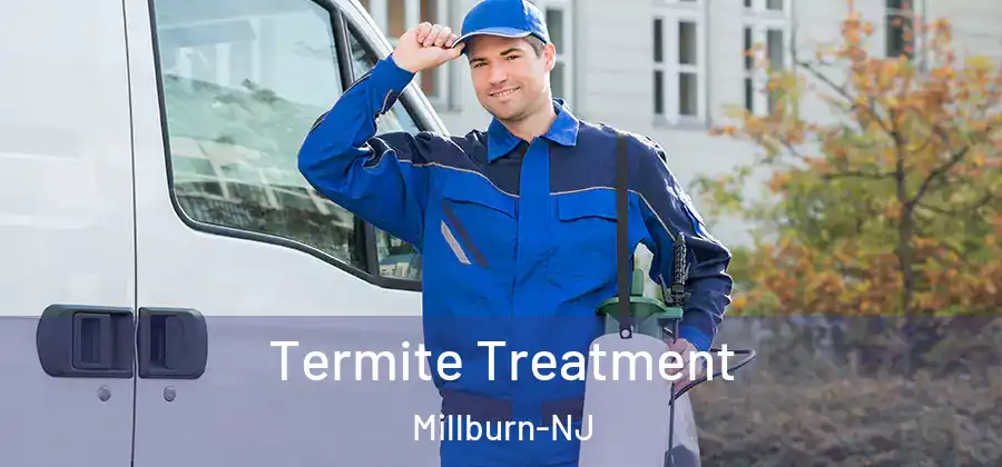 Termite Treatment Millburn-NJ