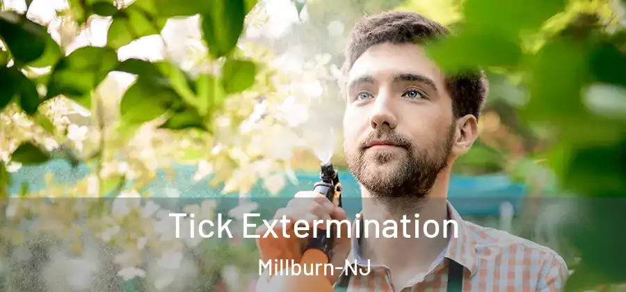 Tick Extermination Millburn-NJ