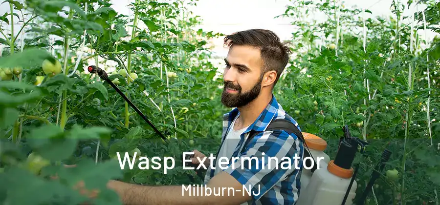 Wasp Exterminator Millburn-NJ