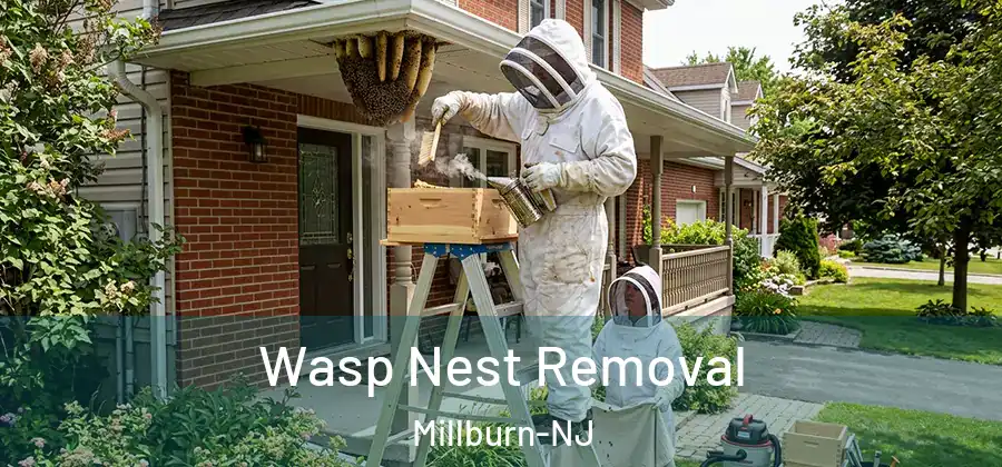 Wasp Nest Removal Millburn-NJ