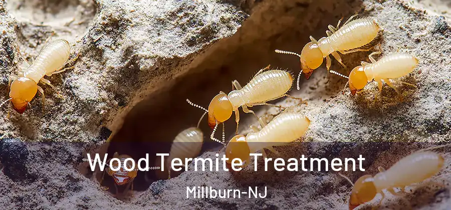 Wood Termite Treatment Millburn-NJ