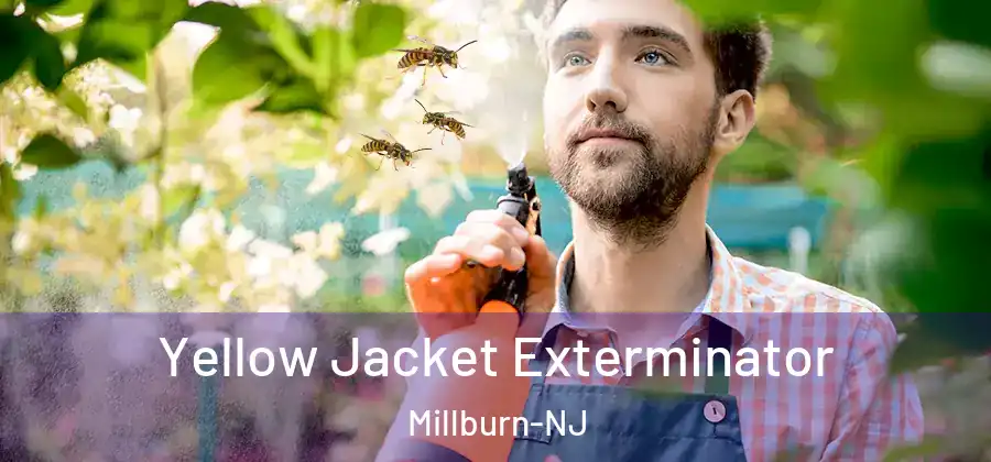  Yellow Jacket Exterminator Millburn-NJ